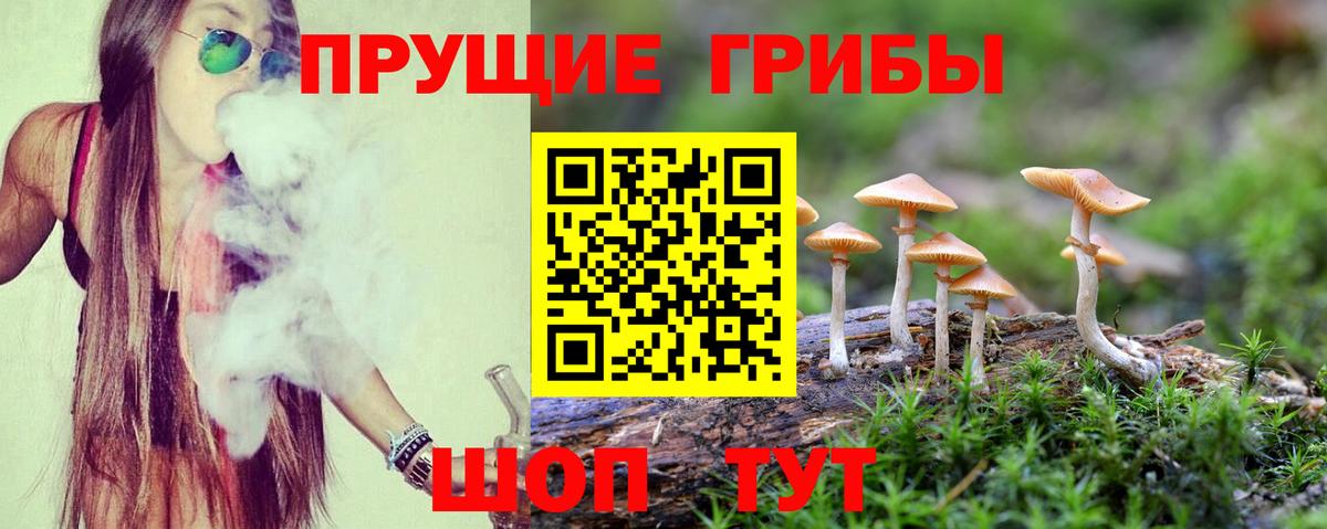 Архангельск  Галлюциногенные грибы Cubensis  Вход с VPN 